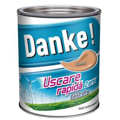 Vopsea Danke somon 2.5L