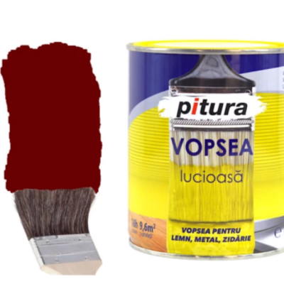 Pitura visiniu 10l