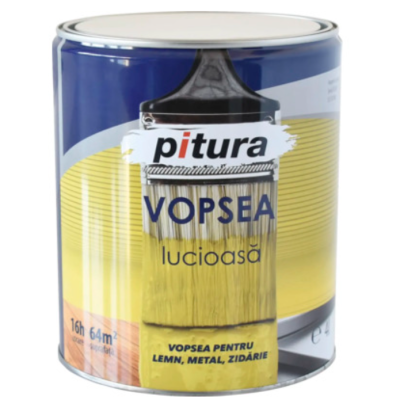 Pitura maro inchis 10l