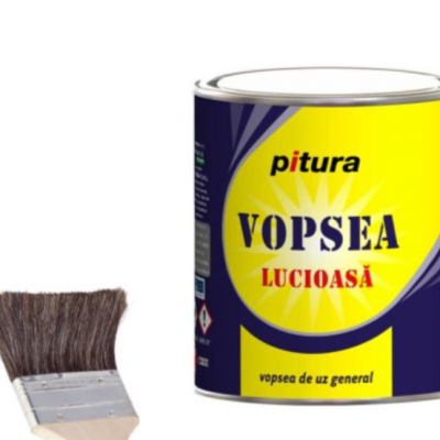 Pitura alb polar 2.5 L